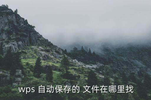  wps 自動保存的 文件在哪里找
