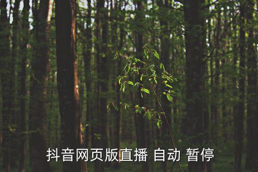  抖音網(wǎng)頁版直播 自動 暫停