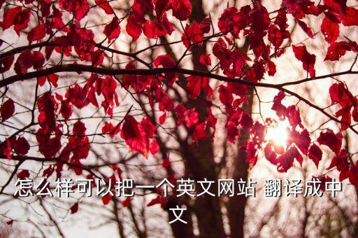 自動翻譯手機瀏覽器,如何安裝和使用瀏覽器?