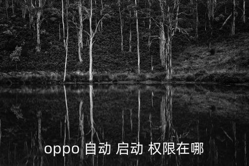 自動(dòng)啟動(dòng)權(quán)限是什么問(wèn)題,如何分辨兩種類型的開(kāi)機(jī)自啟動(dòng)程序?
