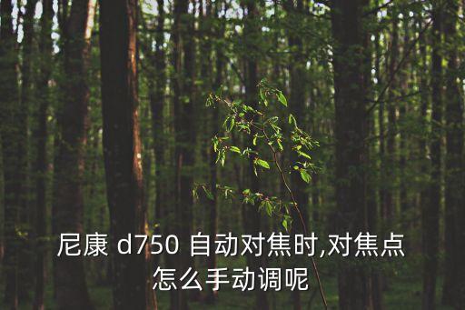 d750沒有自動模式,這些東西值得你關(guān)注的
