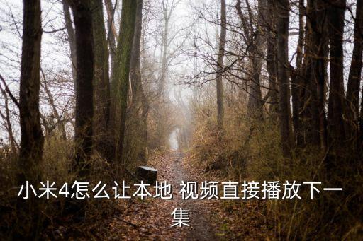 小米4怎么讓本地 視頻直接播放下一集