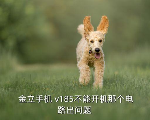 金立v185自動關(guān)機(jī),手機(jī)充電不能開機(jī)怎么辦?