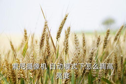  索尼攝像機(jī) 自動(dòng)模式下怎么調(diào)高 亮度