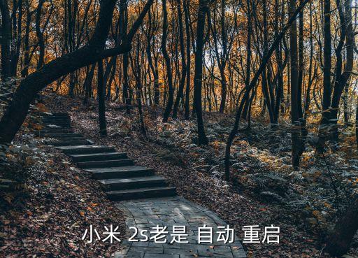  小米 2s老是 自動 重啟