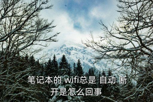  筆記本的 wifi總是 自動 斷開是怎么回事