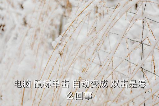 電腦 鼠標單擊 自動變成 雙擊是怎么回事