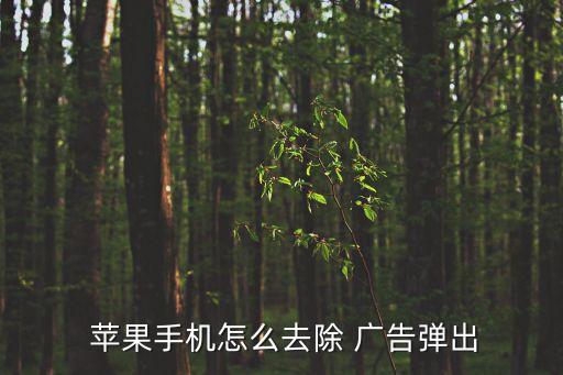 蘋(píng)果怎么關(guān)閉自動(dòng)彈出廣告,怎么關(guān)閉煩人廣告彈窗?一文看懂