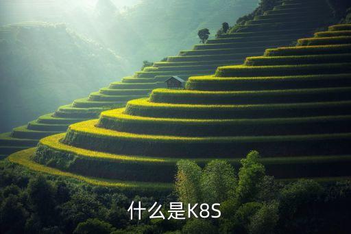 aws 自動(dòng)化部署,想了解更多云原生技術(shù)服務(wù)推動(dòng)數(shù)碼化