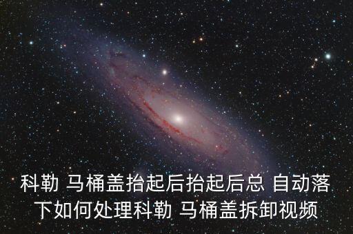 科勒 馬桶蓋抬起后抬起后總 自動落下如何處理科勒 馬桶蓋拆卸視頻