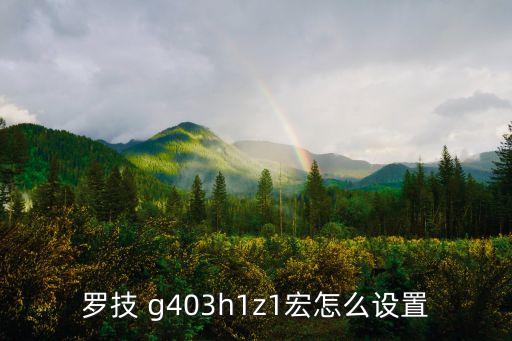 羅技 g403h1z1宏怎么設(shè)置