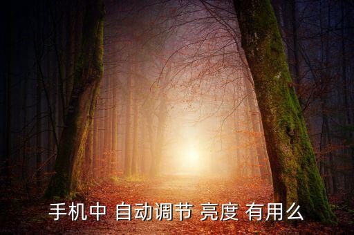 手機中 自動調(diào)節(jié) 亮度 有用么