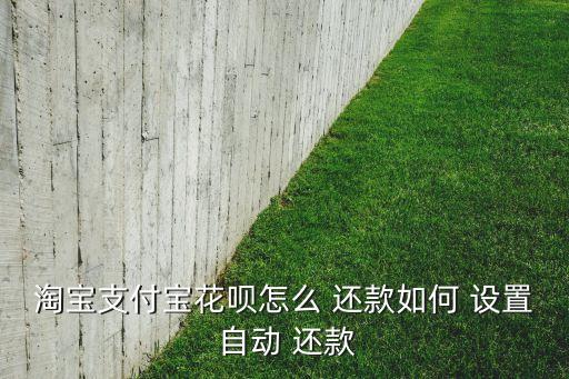 花唄如何設(shè)置自動(dòng)還款,螞蟻花唄自動(dòng)還款首單收取自動(dòng)扣費(fèi)