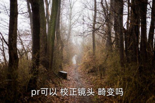 pr可以 校正鏡頭 畸變嗎