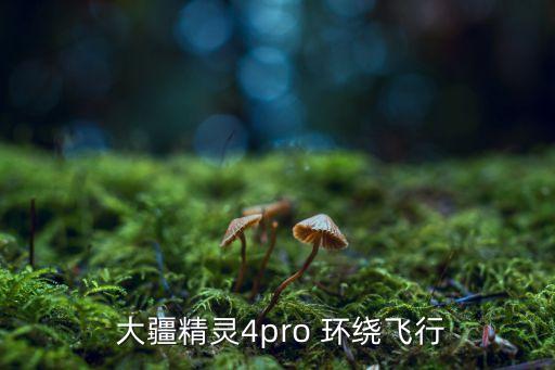  大疆精靈4pro 環(huán)繞飛行