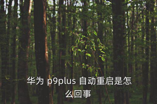 華為p9應(yīng)用自動(dòng)歸類,手機(jī)過熱就查電池排名恢復(fù)出廠設(shè)置