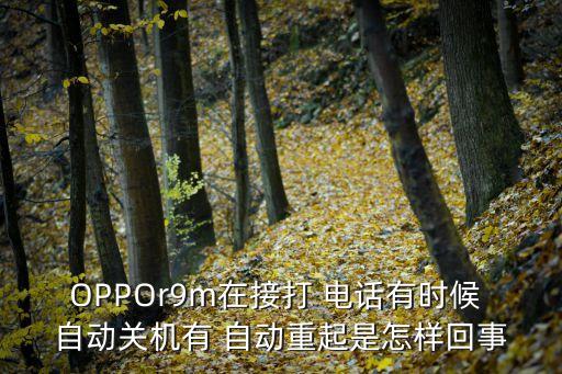 OPPOr9m在接打 電話有時(shí)候 自動(dòng)關(guān)機(jī)有 自動(dòng)重起是怎樣回事