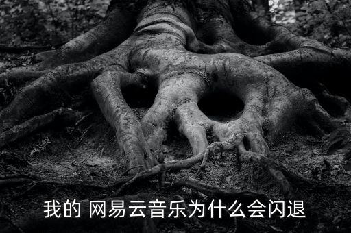 我的 網(wǎng)易云音樂(lè)為什么會(huì)閃退