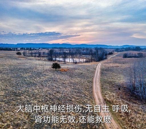  大腦中樞神經(jīng)損傷,無自主 呼吸,腎功能無效,還能救麼