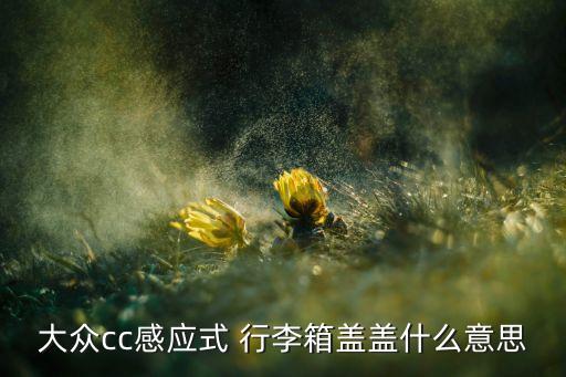 大眾cc感應(yīng)式 行李箱蓋蓋什么意思