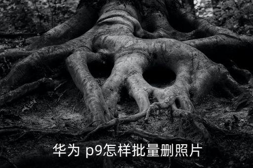 華為p9會自動刪除照片,如何在手機(jī)應(yīng)用中刪除誤刪照片?