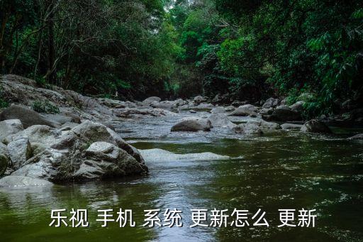 樂(lè)視手機(jī)自動(dòng)更新系統(tǒng),樂(lè)視手機(jī)系統(tǒng)如何升級(jí)?步驟如下
