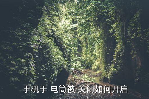  手機(jī)手 電筒被 關(guān)閉如何開啟