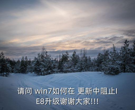 請問 win7如何在 更新中阻止IE8升級謝謝大家!!!