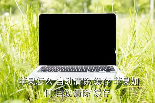 蘋果怎么自動(dòng)清理緩存,瀏覽器使用久了會(huì)產(chǎn)生很多緩存data