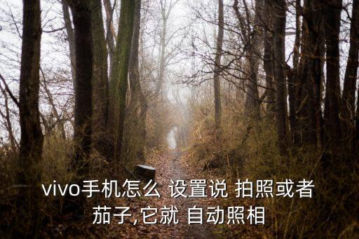 怎么設(shè)置相機自動拍照,如何使用手機拍照?