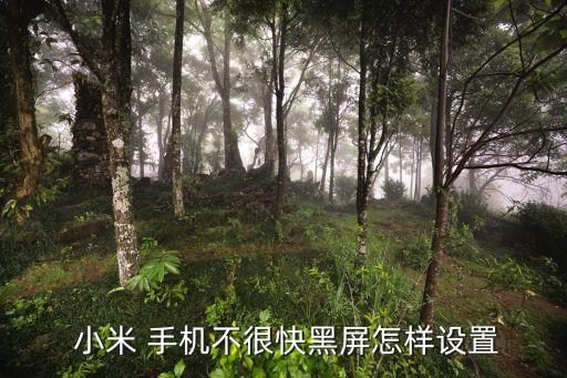  小米 手機不很快黑屏怎樣設(shè)置