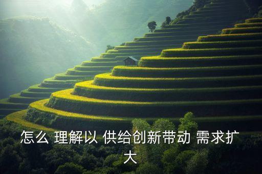 怎么 理解以 供給創(chuàng)新帶動(dòng) 需求擴(kuò)大
