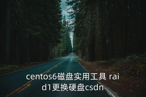 centos6磁盤(pán)實(shí)用工具 raid1更換硬盤(pán)csdn