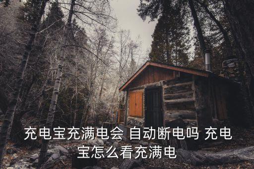  充電寶充滿電會 自動斷電嗎 充電寶怎么看充滿電