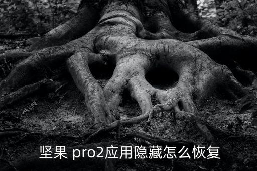  堅(jiān)果 pro2應(yīng)用隱藏怎么恢復(fù)