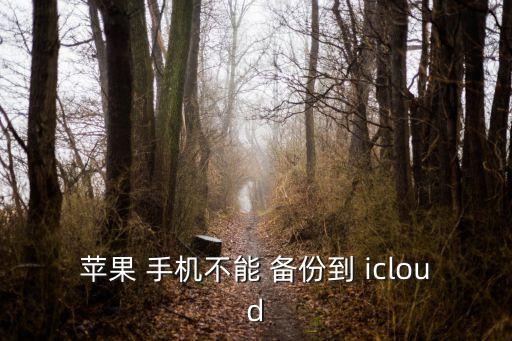 蘋果 手機(jī)不能 備份到 icloud