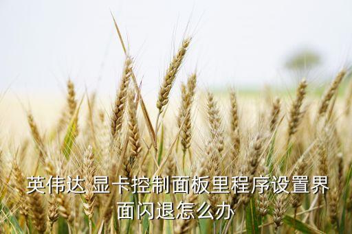  英偉達 顯卡控制面板里程序設(shè)置界面閃退怎么辦