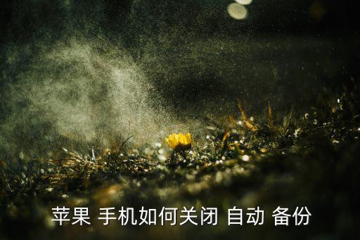  蘋果 手機如何關(guān)閉 自動 備份