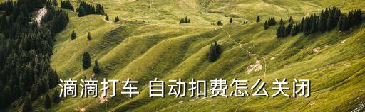 滴滴取消自動(dòng),關(guān)閉支付寶免密支付功能