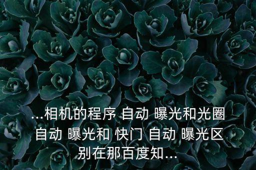 ...相機(jī)的程序 自動(dòng) 曝光和光圈 自動(dòng) 曝光和 快門(mén) 自動(dòng) 曝光區(qū)別在那百度知...