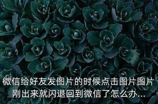 微信給好友發(fā)圖片的時(shí)候點(diǎn)擊圖片圖片剛出來就閃退回到微信了怎么辦...