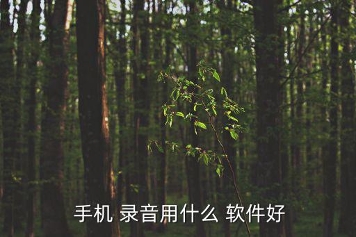 自動錄音的手機軟件,點擊進入自動錄音設置按鈕可查看詳情