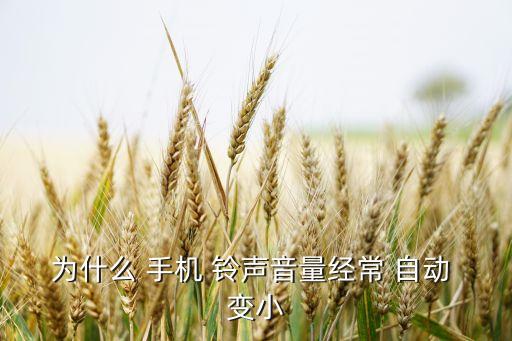 為什么 手機(jī) 鈴聲音量經(jīng)常 自動 變小