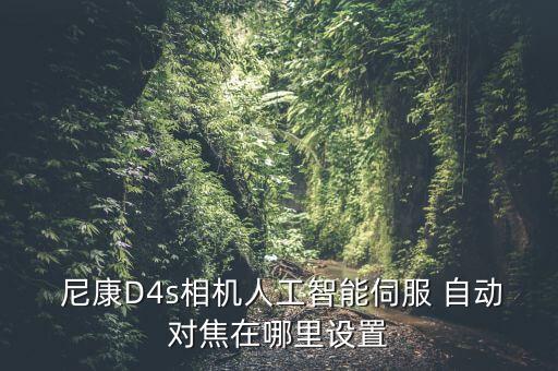 尼康45移軸可以自動對焦嗎,自動對焦鏡頭有哪些】看這里!