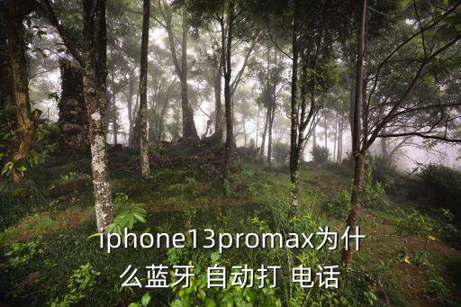  iphone13promax為什么藍(lán)牙 自動(dòng)打 電話