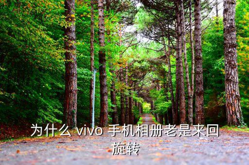 vivo手機圖片自動旋轉(zhuǎn),vivo新功能:查看圖片自動旋轉(zhuǎn)