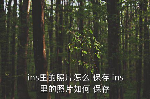 ins不能自動保存照片了,如何獲取高清多圖圖片?
