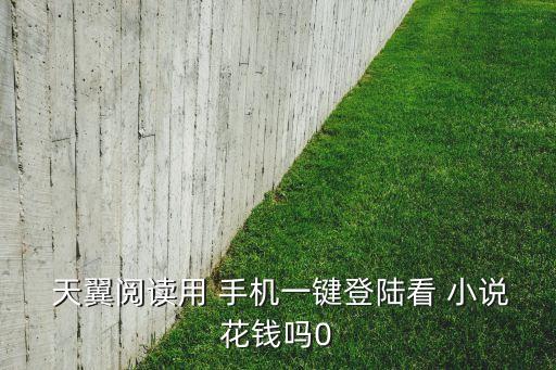 手機看小說自動轉(zhuǎn)到天翼看,手機應(yīng)用如何購買和使用?