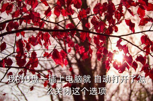 u盤禁止自動(dòng)運(yùn)行,win7禁止u盤-1運(yùn)行步驟