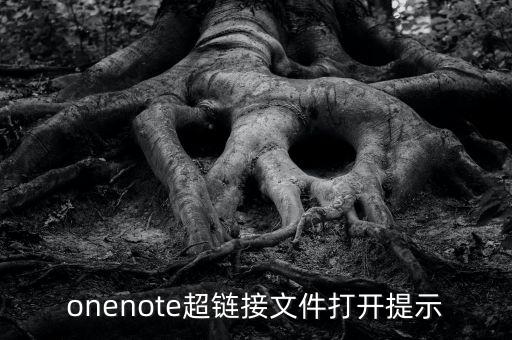onenote超鏈接文件打開(kāi)提示